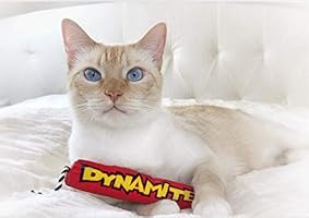 petstages dynamite cat toy
