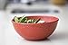 EVO Sustainable Goods 16 oz. Bowl Set, Red