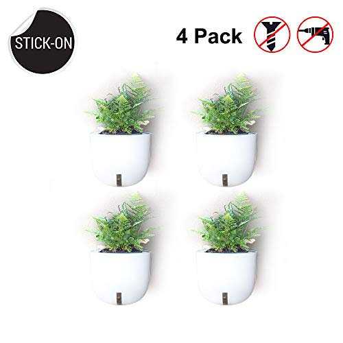 (No Screw/No Hanging) Wall Planters Vase Stick-up Design Moveable Reusable Use,Indoor and Outdoor Plastic Wall Plants Holder for Succulent Herb Pots Flower Vase Air Plant,4 Pack (Not Included Plants)