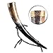 Nordic Drinkware Viking Drinking Horn Set with Leather Belt & Shoulder Strap + Iron Stand, 18oz, Varied Colors