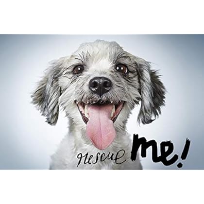 Rescue Me: Dog Adoption Portraits and Stories from New York City Rescue Me: Dog Adoption Portraits and Stories from New York City