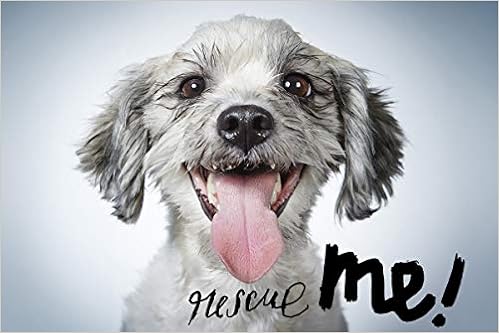 shelter rescue dogs near me