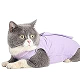 Cat Surgical Recovery Suit Abdominal Wounds or Skin