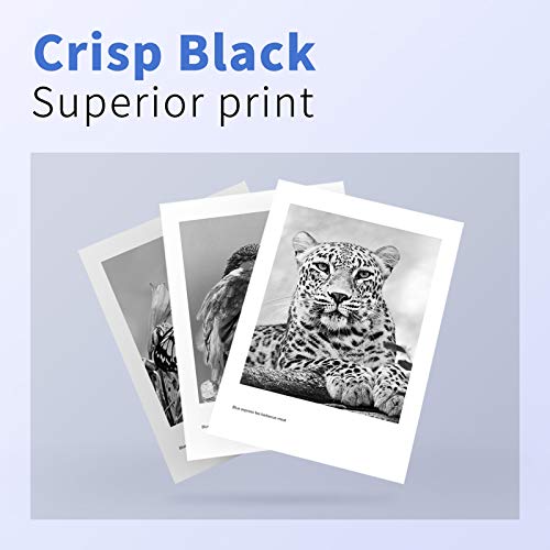 epson leopard ink cartridges