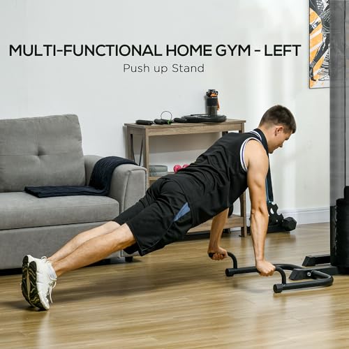 Soozier All-in-One Home Gym System, Multi Gym Workout Station with Weight Stack, LAT Pull Down, Sit up Bench, Push up Stand, Adjustable, for Full Body Training