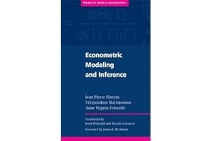 Econometric Modeling and Inference (Themes in Modern Econometrics)