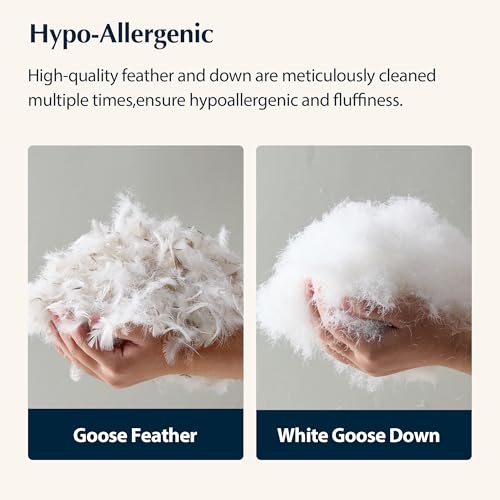 Pacific Coast Bed Pillow, Hotel Collection Goose Feather and Down Firm Pillow for Sleeping, 3-Chamber Design, Soft and Supportive (King (Pack of 2))