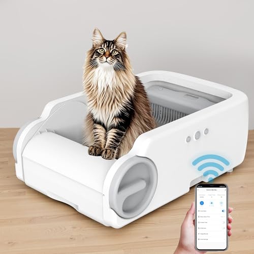 Betulabulo Self Cleaning Cat Litter Tray - Open-Top Design for Multiple Cats, Automatic Litter Box with APP Control, Safety Sensors, Automatic Cleaning, Quiet & Easy Maintenance
