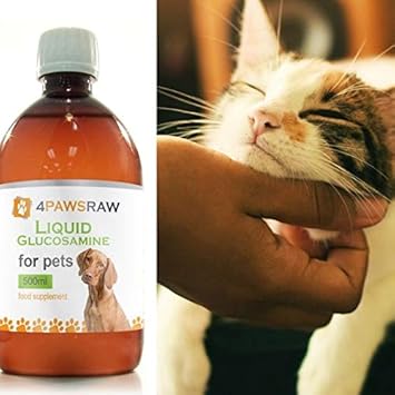 liquid glucosamine for cats