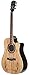 Fender T-Bucket 300CE Cutaway Acoustic-Electric Guitar - Spalted Maple Limited Edition