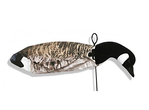 Deadly Decoy Feeder Head Canada Goose Decoy, Multicolor