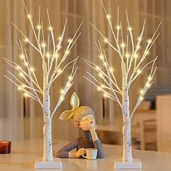 2PK 2FT 24LED Lighted Birch Tree Artificial Branch