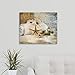 CANVAS ON DEMAND Relaxation II Canvas Wall Art Print by Patricia Pinto, Home Decor, Artwork, 24