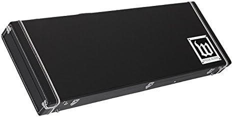 Wylde Audio WA-OB-1 Hard-Shell Wood Case for Odin and Barbarian Level 2 Black 190839132802