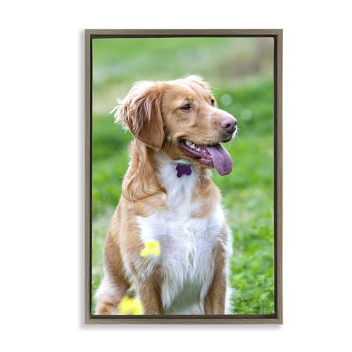 Stupell Industries Pet Personalized Custom Print Rectangular Brown Floater Fram…