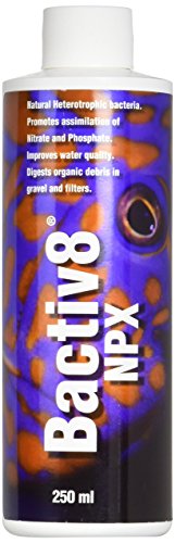 Two Little Fishies ATLB8NP1 Bactiv8 Npx for Aquarium Filter, 250ml