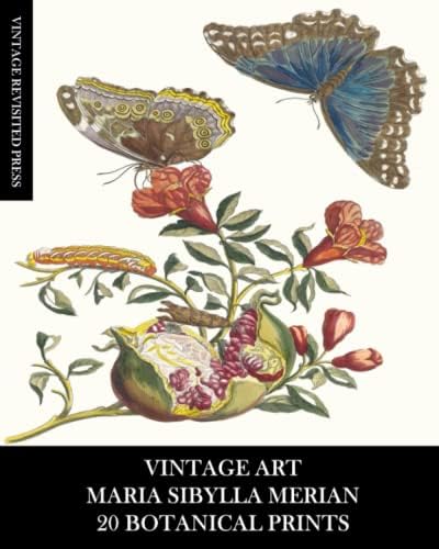 New Book of Flowers/Neues Blumenbuch (German and English Edition