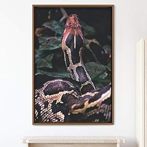 signwin Framed Canvas Wall Art Snake Contemporary Dramatic...