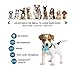 Dog Bark Collar [2020 Upgrade ]-7 Adjustable Sensitivity and Intensity Levels-triple Anti-Barking Modes Rechargeable/Rainproof/Reflective -No Barking Control Dog Collar for Small Medium Large dogsthumb 4