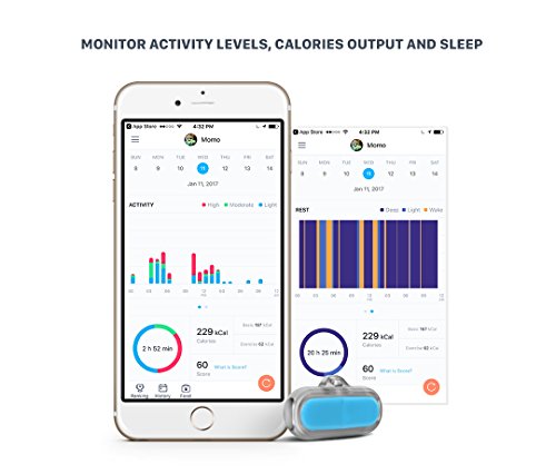 Bean Waterproof Pet Activity Tracker (Blue)