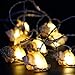 IMPRESS LIFE Natural LED String Lights, Ocean Real Conch Beach Themed Christmas Flexible Battery-powered 10 ft 10 LEDs for Indoor, Outdoor, Birthday, Wedding, Summer Holiday, Parties & Home Decorating