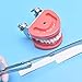 Dental Articulating Paper Holder, Straight Articulate Paper Holding Forceps Tweezer