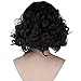 Ainiel Men's Fiber Curly Anime Cosplay Costume Party Full Wigs Short Black