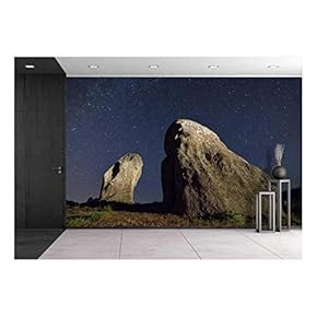 Real Night Sky Landscape with a Perseid Meteor and Two Menhirs - Removable Wall Mural | Self-Adhesive Large Wallpaper - 66x96 inches