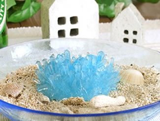 Magic Crystal Growing Kit (Orange)