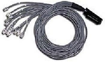 10ft Cat5 25-pair Telco Breakout Cable 180anddeg; Telco50 M/12-rj45