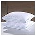 White Goose Down Pillow Feather Pillows Gusseted Pillow Standard Queen Pillows Set of 2, Homelike Moment