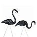 Union United Solutions 62363 Zombie Flamingos, Pair in Display