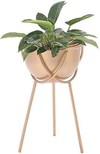 Tangist 木製 花棚 植物棚 現代のプランターホルダー工場フロアサポートがメタルバルコニーリビングルーム多肉植物ハーブ盆栽棚屋内屋外の装飾展示現代創造 マーケット 組み立て式 頑丈 色ゴールデン をスタンドラックポットスタンド