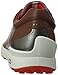 ECCO Men's Biom Hybrid Golf Shoe