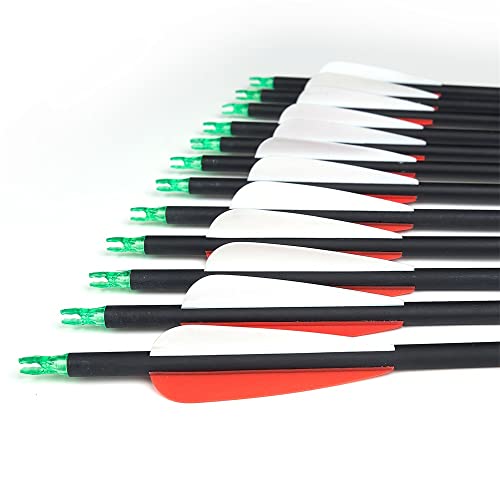 Huntingdoor 30" Archery Carbon Target Arrows Hunting Arrows with Adjustable Nock and Replaceable