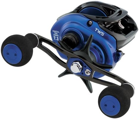 daiwa tws reel baitcasting baitcast saltwater baitcaster accurist quantum 4lb drag carrete spinning twing spinfisher carretes hjul lavprofil gear recreationid