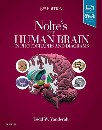 Nolte's The Human Brain: An Introduction to its Functional Anatomy