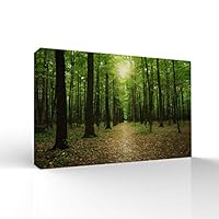signwin-Canvas Wall Art-Sunshine in The Forest -Canvas Prints Home Artwork Decoration for Living Room,Bedroom - 12x18 inches