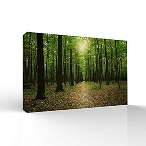 Canvas Wall Art-Sunshine in The Forest -Canvas Prints Home Artwork Decoration for Living Room,Bedroom - 16x24 inches