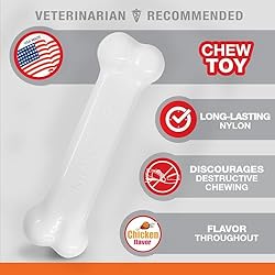 Nylabone Power Chew Flavored Durable Chew Toy for