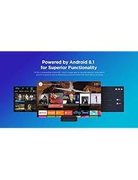 Mi Box S Xiaomi Original - 4K Ultra HD Android TV con Google Voice Assistant & Direct Netflix Remote Streaming Media Player US Plug