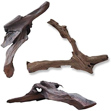 Wilai Root, Driftwood for Terrarium or Aquarium, Garden Decoration, 30-50 cm in Natural Wood 100% Natural