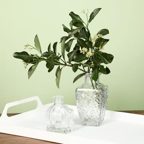 12 Pieces Glass Vases, Small Vintage Flower Vases, Transparent for Table Decoration, Floral and Wedding