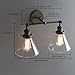 Phansthy 2-Light Industrial Wall Light Antique Black Sconce Wall Light Fixture with 7.3 Inches Cone Clear Glass Lampshade 180 Degree Adjustable (2-Light Clear)