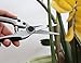 TABOR TOOLS Pruning Shears, Florist Scissors, Multi-Tasking Garden Snips for Arranging Flowers, Trimming Plants and Harvesting Herbs, Fruits or Vegetables. K18A. (Straight, Japanese Style Blades) thumb 4