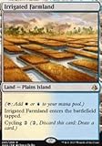 Irrigated Farmland - Amonkhet