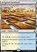 Wizards of the Coast Irrigated Farmland - Amonkhet