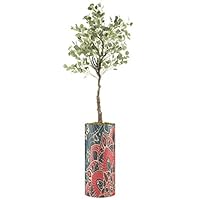 SIGNWIN Eucalyptus Tree with Red, Blue & Black Mandala Pattern Vase Geometric Shapes Minimalism Zen Relax/Calm Multicolor Ultra for Living Room, Bedroom, Office - X-Large 5 Feet (60