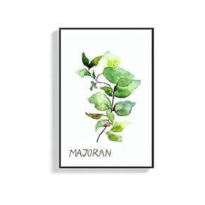 Framed Canvas Wall Art for Living Room, Bedroom Origanum Majorana Canvas Prints for Home Decoration Ready to Hang - 16x24 inches