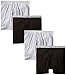 Hanes Men's 4-Pack Big Boxer Brief